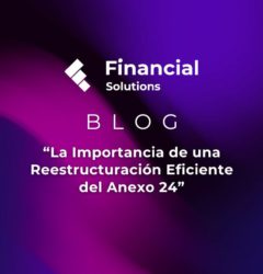 Blog Reestructuración de Inventarios en Anexo 24