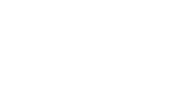 Logo FS